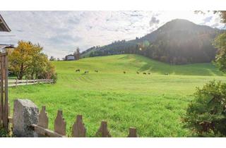 Wohnung mieten in 6365 Kirchberg in Tirol, Großzügige Terrassenwohnung direkt an der Skipiste