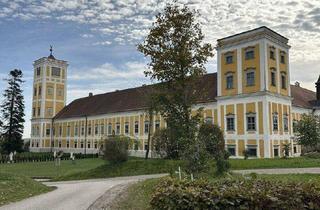 Büro zu mieten in Tillysburg, 4490 Sankt Florian, Geräumiges Büro im Schloss Tillysburg
