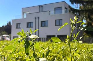 Doppelhaushälfte kaufen in 2625 Schwarzau am Steinfeld, Verwirklichen Sie ihr persönliches Wohnglück auf 160m² Nutzfläche und traumhafter Gartenoase zum Verweilen...