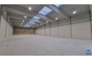 Gewerbeimmobilie mieten in 2604 Theresienfeld, NEUBAU-Halle(n) - mieterspezifische Wünsche möglich (Kran etc.) - Fertigstellung Frühjahr 2025