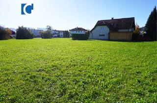 Grundstück zu kaufen in 6973 Fußach, Wohnen im Grünen: Schönes Grundstück in Fußach