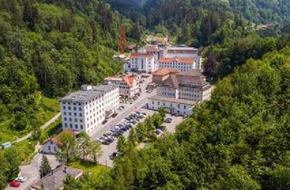Gewerbeimmobilie mieten in 6850 Dornbirn, Einzigartige Gewerbefläche! Jetzt mieten und die Renovierung mitgestalten.
