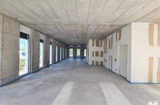Gewerbeimmobilie mieten in 6900 Bregenz, Gewerbefläche in Hohenems