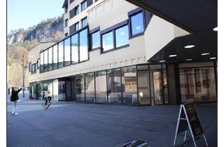 Gewerbeimmobilie mieten in 6923 Feldkirch, Zentraler können Sie Ihr Unternehmen nicht etablieren und präsentieren - Illpark Passage Feldkirch