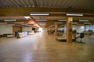 Gewerbeimmobilie mieten in 6890 Lustenau, Gewerbeobjekt in Rankweil - Halle 1. OG