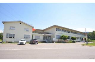 Gewerbeimmobilie mieten in 6890 Lustenau, Gewerbeobjekt in Rankweil - Fläche OST UG