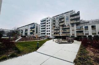 Wohnung mieten in Stipcakgasse, 1230 Wien, Dachgeschoßwohnung mit 2 Zimmern - Erstbezug