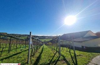 Haus kaufen in 8345 Straden, Alleinlage - Wohnhaus mit Wirtschaftsgebäude inmitten von Weingärten