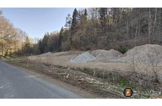 Grundstück zu kaufen in 7441 Pilgersdorf, Baugrundstück in Alleinlage umgeben von Wald!