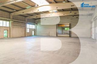 Gewerbeimmobilie mieten in 4055 Pucking, 3.250m² Halle mit erstklassiger Verkehrsanbindung