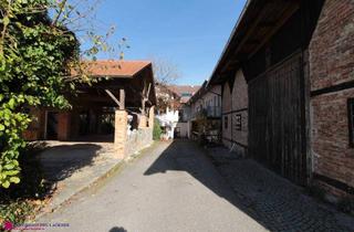 Haus kaufen in 4752 Riedau, Top Preis - Großzügige Liegenschaft im Ortszentrum der Marktgemeinde Riedau