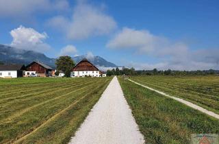Gewerbeimmobilie kaufen in 8662 Mitterdorf im Mürztal, Krieglach - Alpl - Traumhafte Landwirtschaft in ALLEINLAGE!