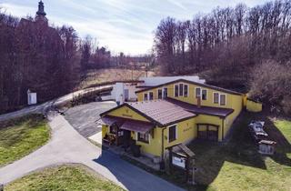 Haus kaufen in Gaas-Weinberg, 7521 Eberau, Renommiertes Weingut im Pinkatal, auch als Wohn-oder Freizeitimmobilie