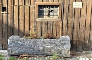 Grundstück zu kaufen in 6850 Dornbirn, Großes Grundstück in zentraler Lage von Dornbirn