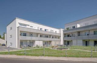 Wohnung mieten in Dr.-Steger-Gasse 11, 3140 Pottenbrunn, POTTENBRUNN I, geförderte Mietwohnung mit Kaufoption, 2OG Top 16, 1000/00011691/00001116