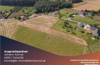 Grundstück zu kaufen in 7540 Güssing, Großes Baugrundstück mit Weitblick in erholsamer sonniger Lage!