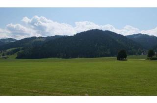 Wohnung kaufen in 8715 Sankt Lorenzen bei Knittelfeld, Großartiges Panorama - ohne die Berge zu erklimmen!