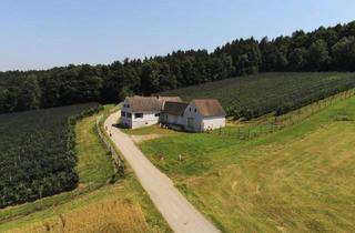 Gewerbeimmobilie kaufen in 8200 Ungerdorf, Arrondierte 6 Hektar Landwirtschaft mit Bauernhaus und Lager