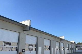 Büro zu mieten in 8261 Sinabelkirchen, Hallen in verschiedensten Größen