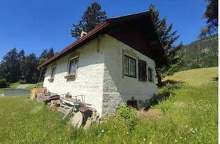 Haus kaufen in 9992 Iselsberg, FREIZEITWOHNSITZ Ferienhaus nahe Dolomiten u. Großglockner