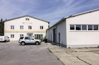 Büro zu mieten in 2431 Enzersdorf an der Fischa, LAGERHALLE UND BÜRO ZU VERMIETEN!