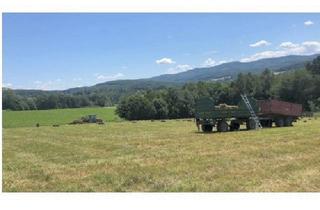 Gewerbeimmobilie kaufen in 3034 Maria-Anzbach, WALDWIESE/ACKER BEI MA.ANZBACH