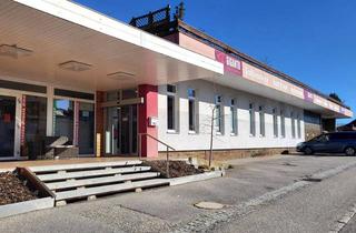 Gewerbeimmobilie kaufen in 4910 Ried im Innkreis, Ertragsobjekt - Vielseitig verwendbare Geschäftsflächen (zur Gänze vermietet)