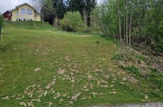 Grundstück zu kaufen in 8685 Steinhaus am Semmering, Großzügiges Baugrundstück mit 2815 m² in 8685 Steinhaus am Semmering