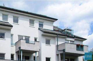 Wohnung mieten in Hinterpocherstraße WE 8, 3871 Alt-Nagelberg, Freundliche Dachgeschoßwohnung mit Terrasse