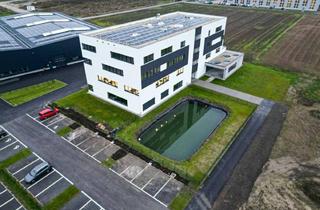 Büro zu mieten in 4481 Asten, ERSTBEZUG: BÜROS ab 104 m² / EUR 12,46 INKL. BK + optional WARMHALLEN BIS 8.000 m²
