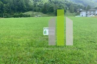 Grundstück zu kaufen in 4460 Losenstein, Baugrund 1 in Losenstein