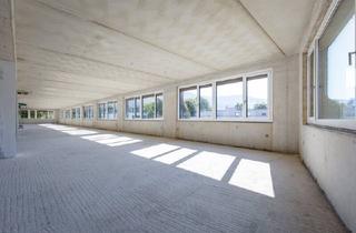 Büro zu mieten in 5020 Salzburg, Campus Borromäum | Ihre flexible Bürolösung mit 264,70 m²