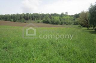 Grundstück zu kaufen in 7540 Güssing, Schöne Baugründe am Ortsrand von Güssing