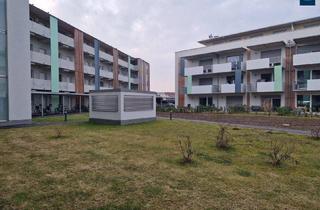 Wohnung mieten in 8141 Unterpremstätten, Mitterstraße 152 Top 16 - Geräumige 2-Zimmerwohnung mit Balkon in grüner Lage