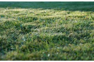 Grundstück zu kaufen in 2201 Gerasdorf, Planen - Bauen - Wohnen nahe Wien ** 2 WE möglich **