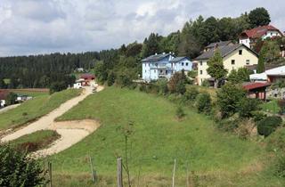 Grundstück zu kaufen in 4372 Sankt Georgen am Walde, Baugrund in Siedlungslage