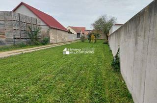 Grundstück zu kaufen in 2292 Engelhartstetten, Top Baugrund für ein Einfamilienhaus zwischen Wien und Bratislava