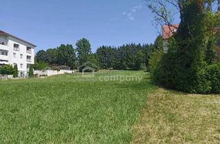 Grundstück zu kaufen in 7431 Oberschützen, 5000 m² großer Baugrund in der Gemeinde Bad Tatzmannsdorf