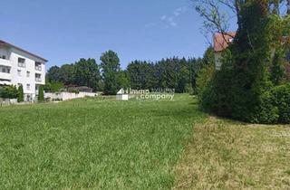 Grundstück zu kaufen in 7431 Oberschützen, 5000 m² großer Baugrund in der Gemeinde Bad Tatzmannsdorf