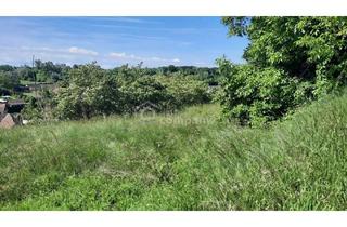 Grundstück zu kaufen in 3454 Maria Ponsee, Traumhaftes Baugrundstück in Thallern: 4392 m² für Ihr Eigenheim um nur 249.000 €!