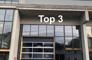 Büro zu mieten in 6335 Hinterthiersee, Top moderne Gewerbehalle NEUBAU Top 3