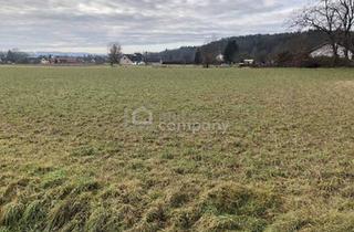 Grundstück zu kaufen in 8380 Jennersdorf, Baugrund nahe Jennersdorf
