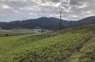 Grundstück zu kaufen in 8380 Jennersdorf, Über 1 ha Grund mit Bauland nahe Jennersdorf