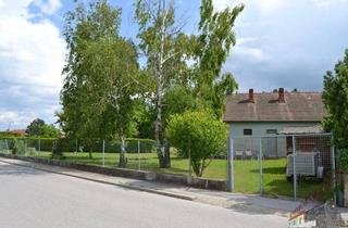 Einfamilienhaus kaufen in 2402 Haslau an der Donau, Einfamilienhaus mit großem Grundstück in Maria Ellend