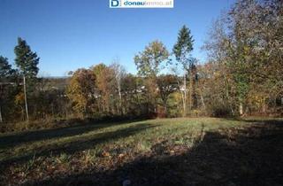 Grundstück zu kaufen in 7431 Bad Tatzmannsdorf, Schönes und ruhig gelegenes Baugrundstück in Bad Tatzmannsdorf