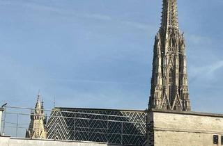 Wohnung mieten in 1010 Wien, Familiendomizil der superlative in absoluter Bestlage der Wiener Innenstadt! Erstbezug!