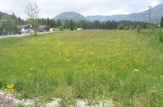  in 8630 Mariazell, Gewerbegrundstück im Mariazellerland