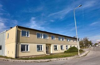 Lager mieten in 2301 Groß-Enzersdorf, 900m² Produktionshalle mit 360m² Büro und eingezäunten Freiflächen!