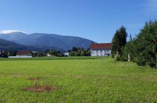 Grundstück zu kaufen in Steiermark, 8741 Weißkirchen in Steiermark, Grund genug!