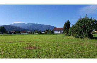 Grundstück zu kaufen in 8741 Weißkirchen in Steiermark, Grund genug!